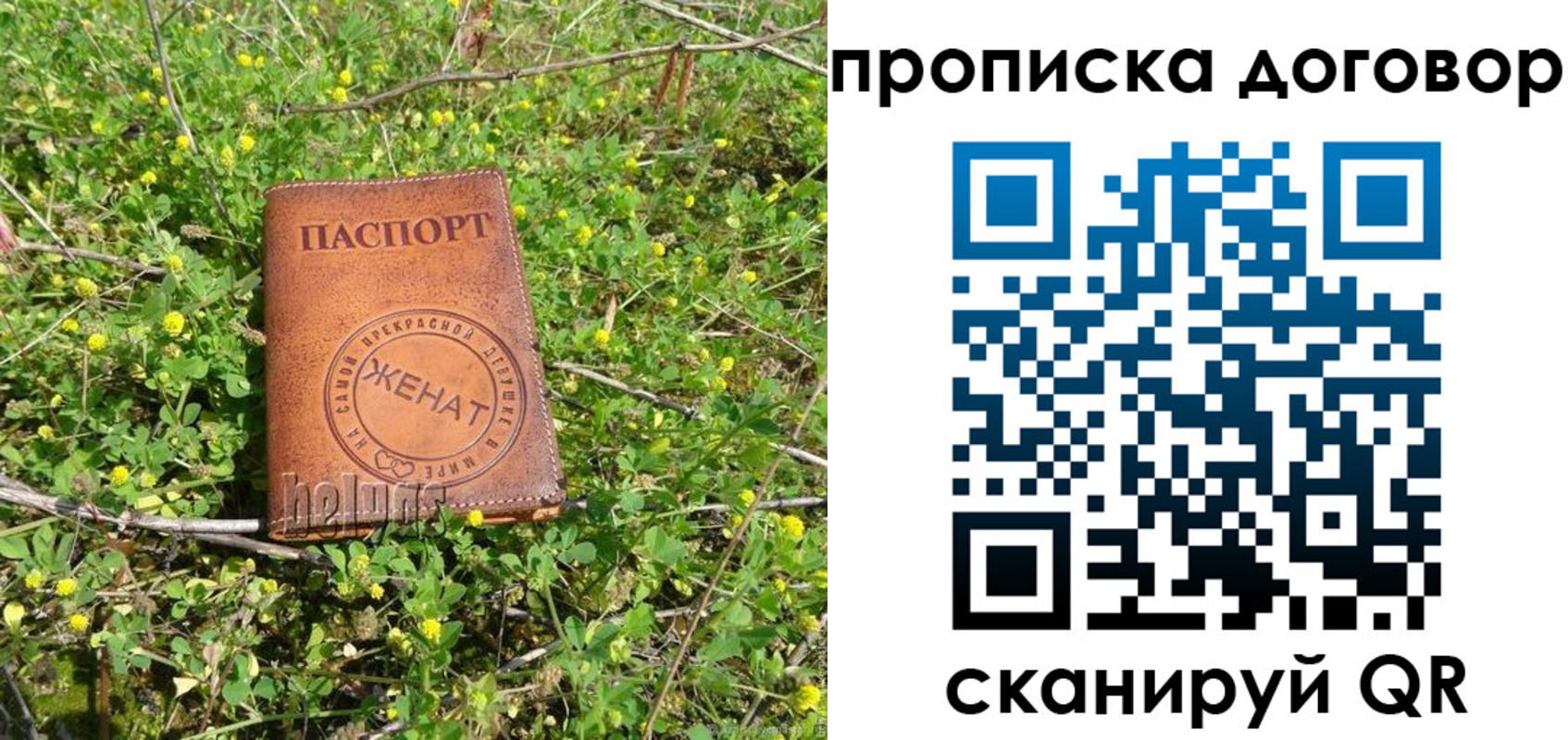 прописка регистрация в Луге